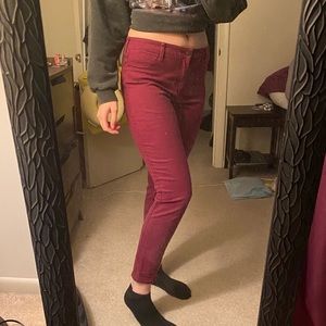 hollister burgundy skinny jeans